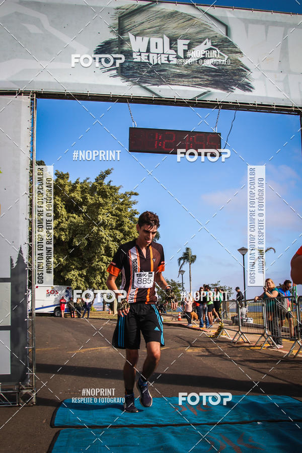 Buy your photos of the eventWolf Series - Botucatu on Fotop