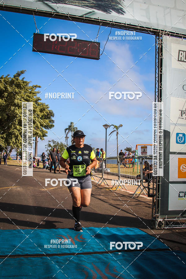 Buy your photos of the eventWolf Series - Botucatu on Fotop