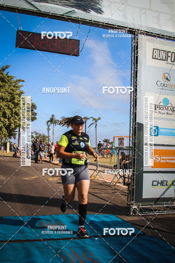 Buy your photos of the eventWolf Series - Botucatu on Fotop