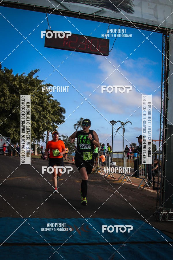 Buy your photos of the eventWolf Series - Botucatu on Fotop