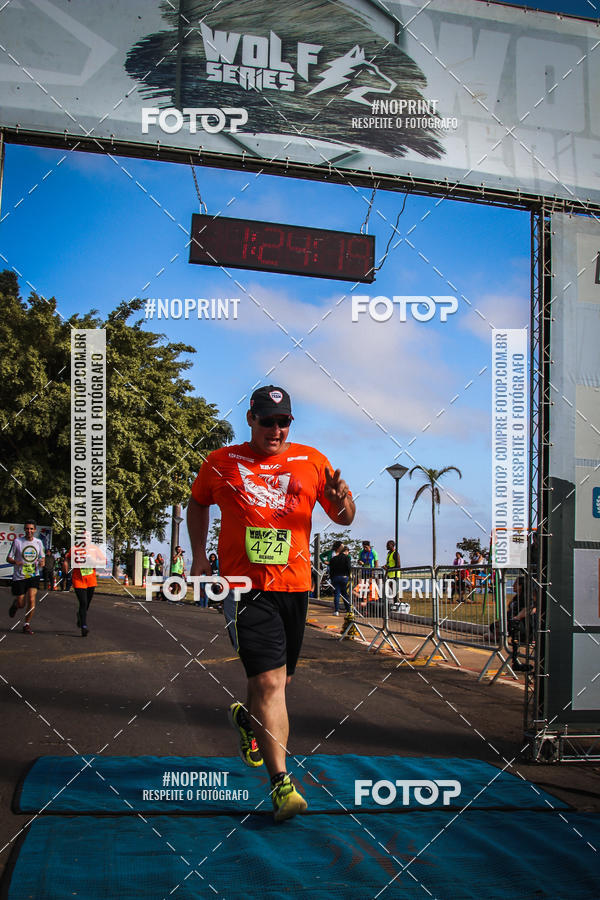 Buy your photos of the eventWolf Series - Botucatu on Fotop