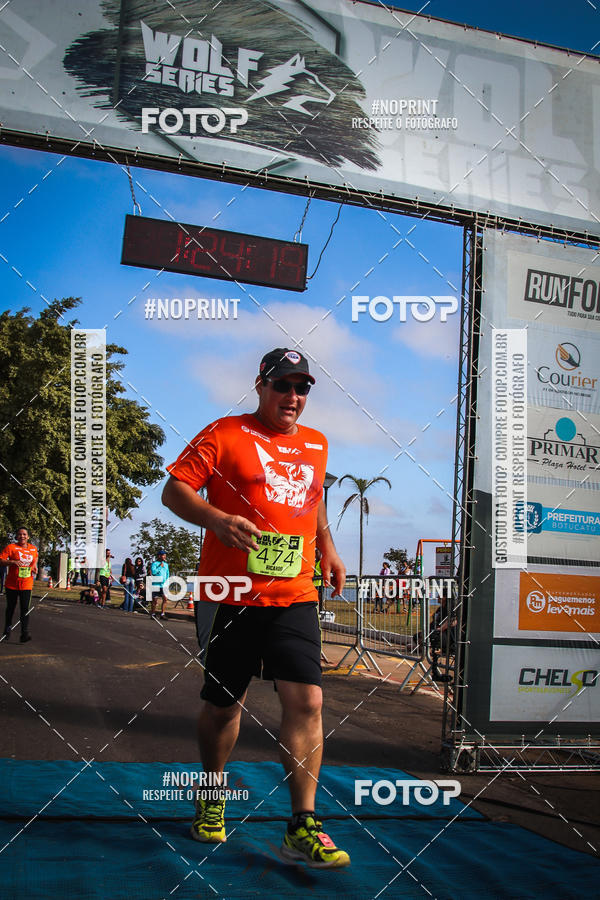 Buy your photos of the eventWolf Series - Botucatu on Fotop