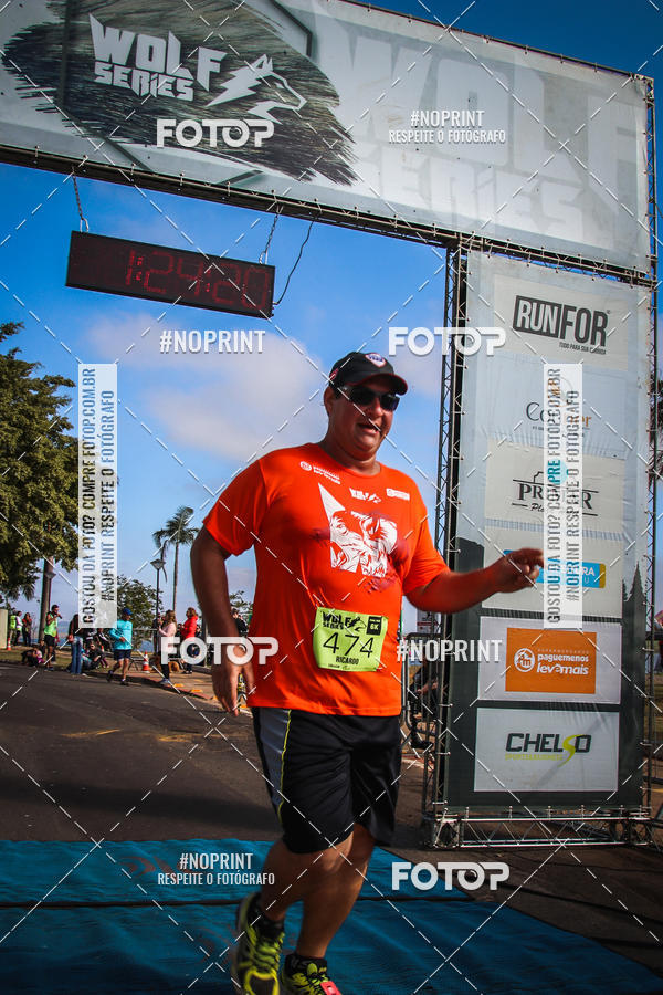 Buy your photos of the eventWolf Series - Botucatu on Fotop