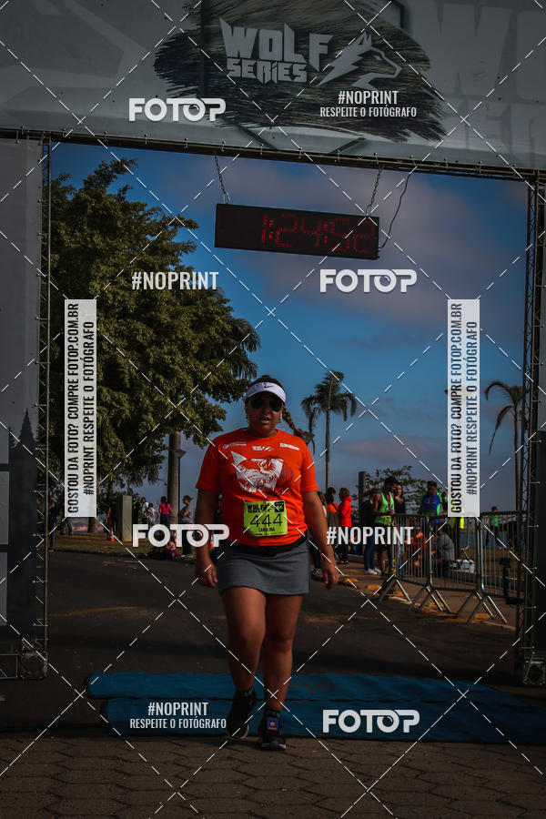 Buy your photos of the eventWolf Series - Botucatu on Fotop