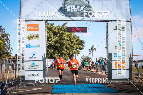 Buy your photos of the eventWolf Series - Botucatu on Fotop