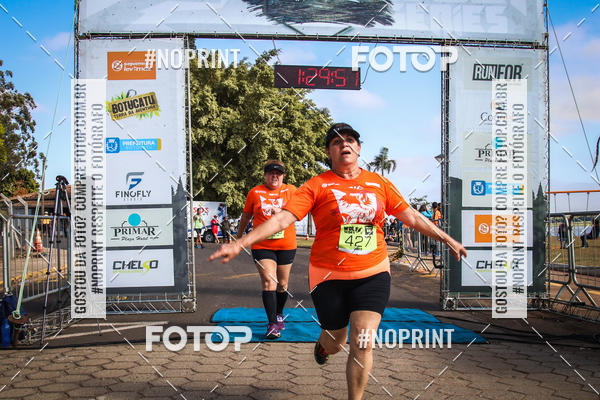 Buy your photos of the eventWolf Series - Botucatu on Fotop