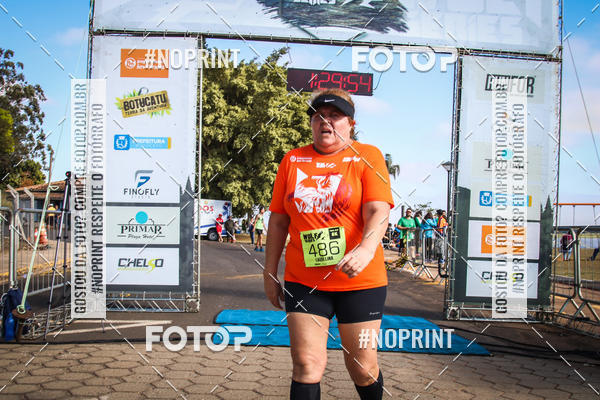 Buy your photos of the eventWolf Series - Botucatu on Fotop