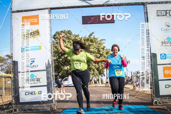 Buy your photos of the eventWolf Series - Botucatu on Fotop