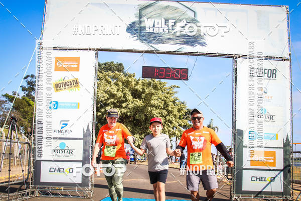 Buy your photos of the eventWolf Series - Botucatu on Fotop