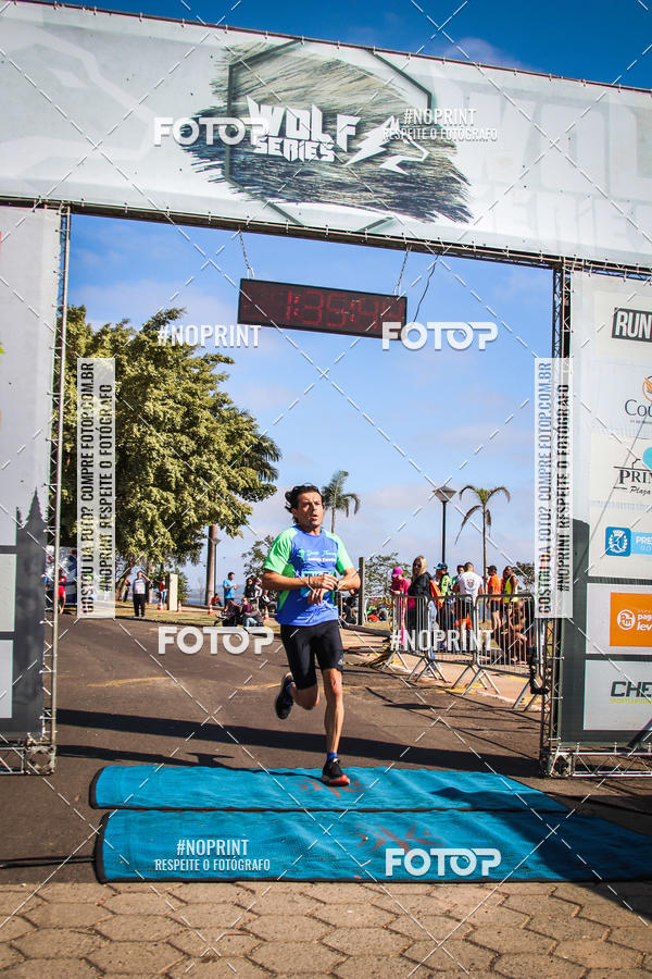 Buy your photos of the eventWolf Series - Botucatu on Fotop