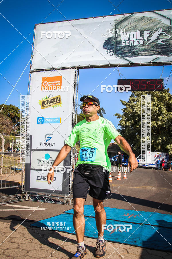 Buy your photos of the eventWolf Series - Botucatu on Fotop