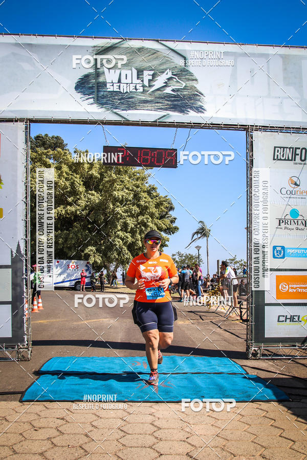 Buy your photos of the eventWolf Series - Botucatu on Fotop