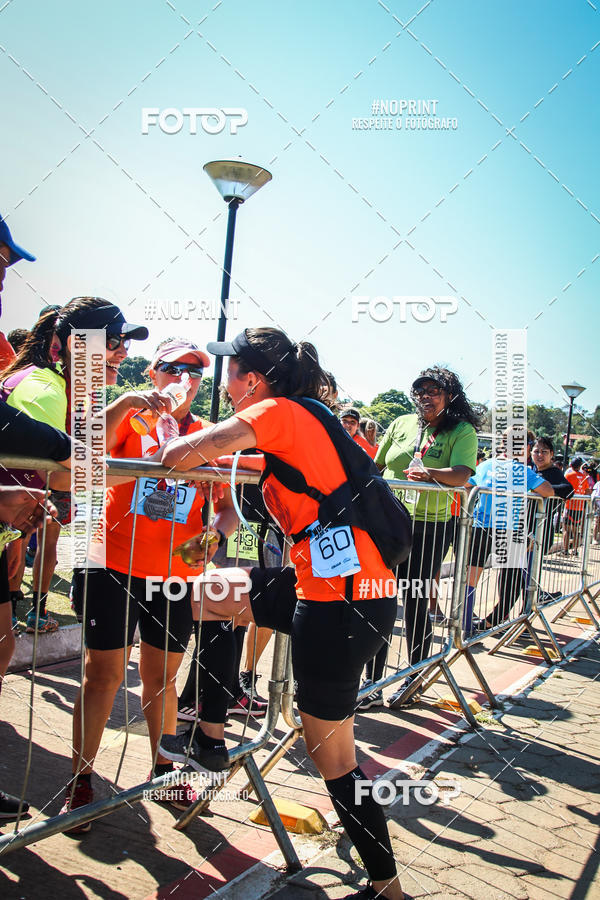 Buy your photos of the eventWolf Series - Botucatu on Fotop