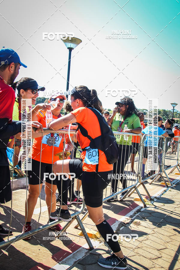 Buy your photos of the eventWolf Series - Botucatu on Fotop