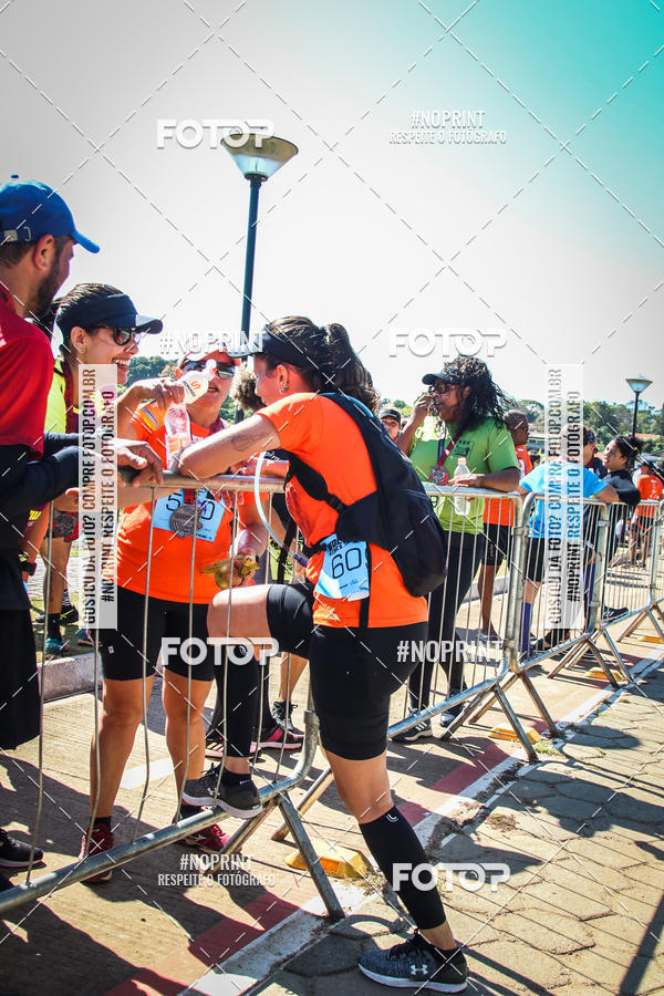 Buy your photos of the eventWolf Series - Botucatu on Fotop