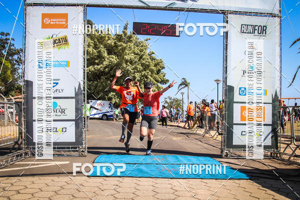 Buy your photos of the eventWolf Series - Botucatu on Fotop