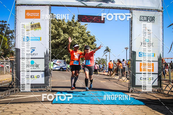 Buy your photos of the eventWolf Series - Botucatu on Fotop