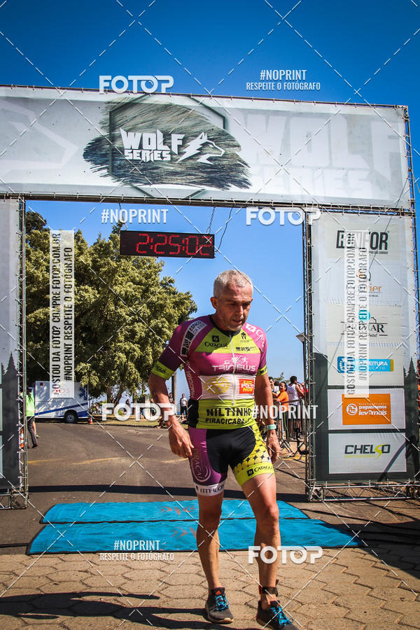 Buy your photos of the eventWolf Series - Botucatu on Fotop