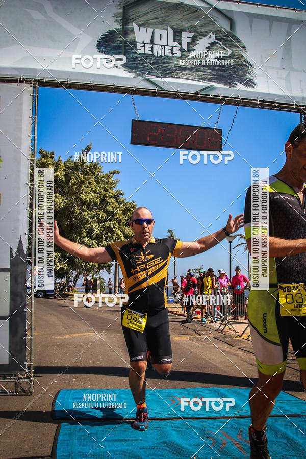 Buy your photos of the eventWolf Series - Botucatu on Fotop