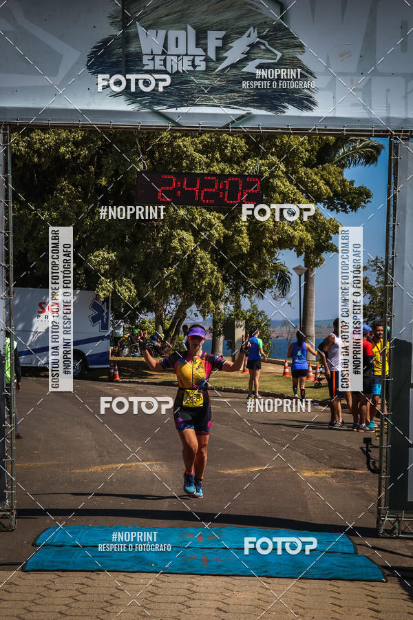 Buy your photos of the eventWolf Series - Botucatu on Fotop