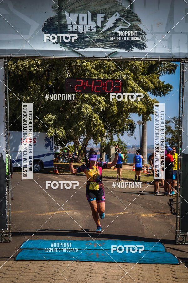 Buy your photos of the eventWolf Series - Botucatu on Fotop