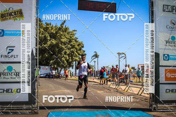 Buy your photos of the eventWolf Series - Botucatu on Fotop