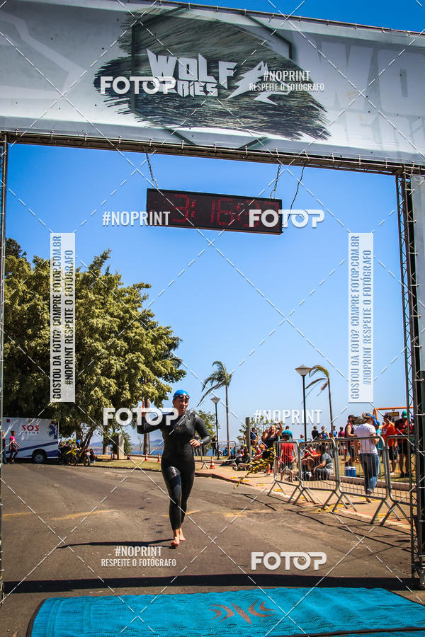 Buy your photos of the eventWolf Series - Botucatu on Fotop