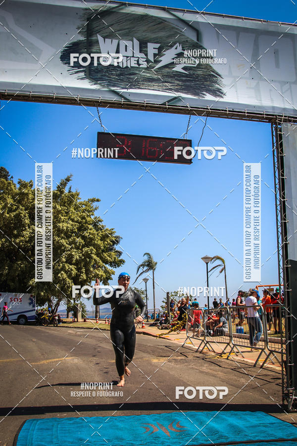 Buy your photos of the eventWolf Series - Botucatu on Fotop