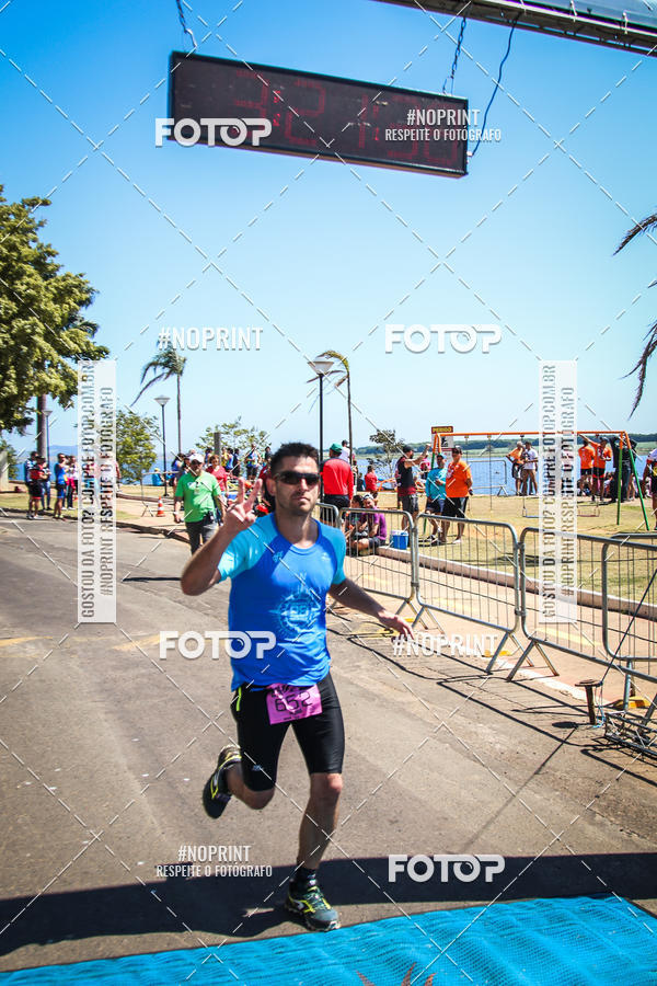 Buy your photos of the eventWolf Series - Botucatu on Fotop