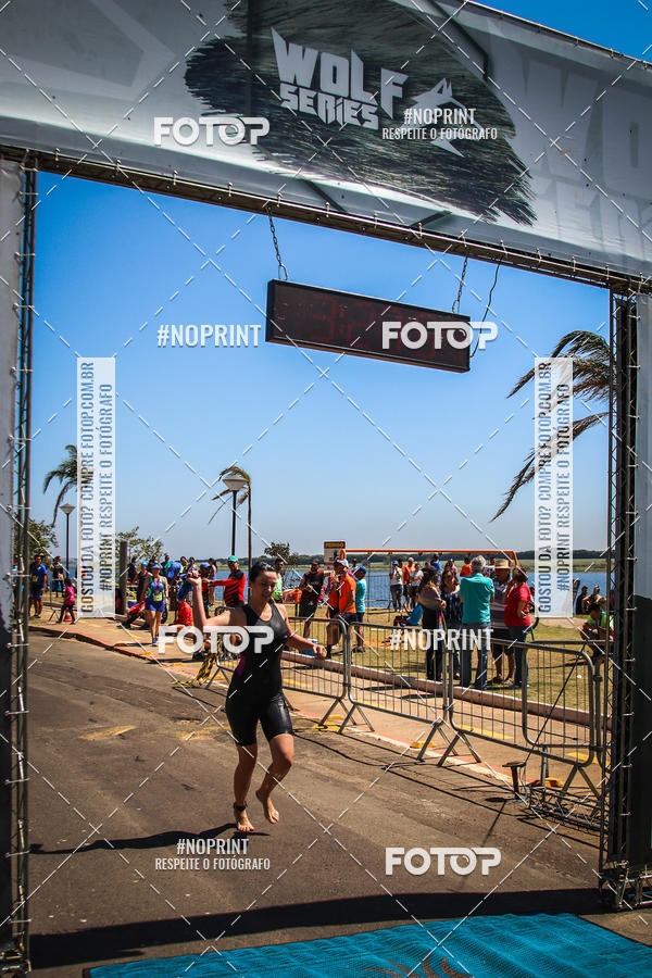 Buy your photos of the eventWolf Series - Botucatu on Fotop
