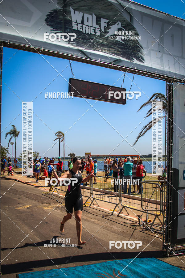 Buy your photos of the eventWolf Series - Botucatu on Fotop