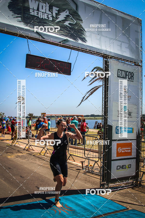 Buy your photos of the eventWolf Series - Botucatu on Fotop