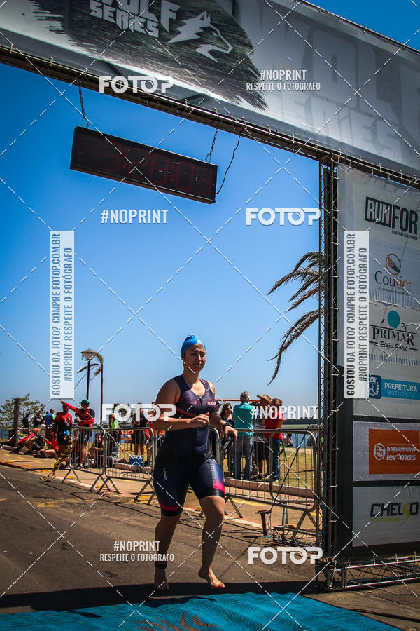 Buy your photos of the eventWolf Series - Botucatu on Fotop