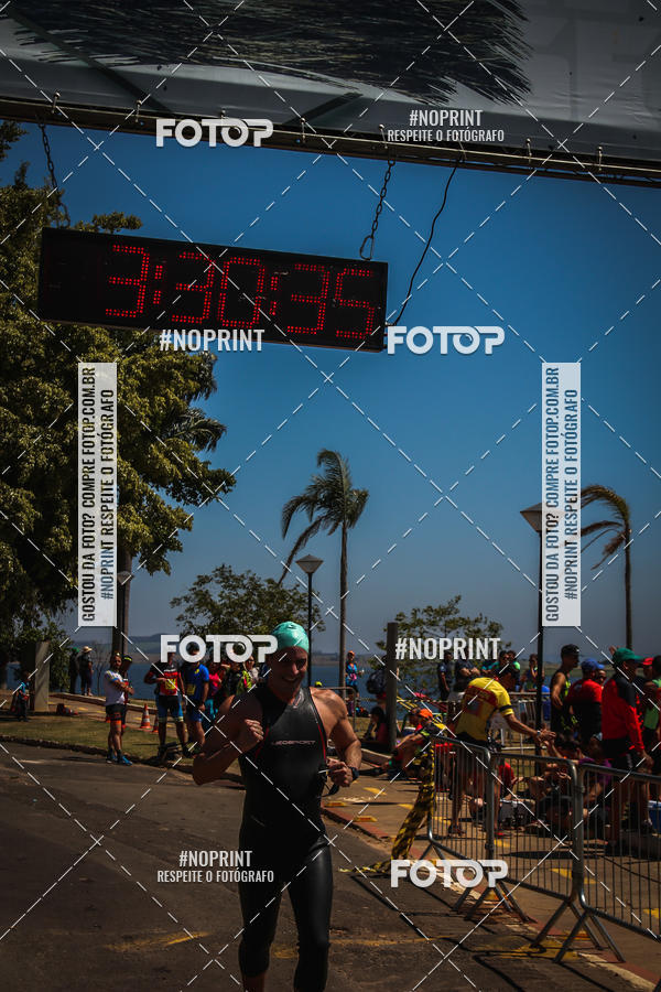 Buy your photos of the eventWolf Series - Botucatu on Fotop