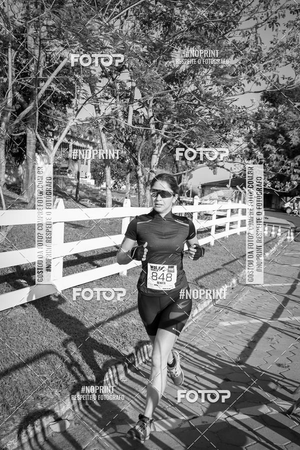 Buy your photos of the eventWolf Series - Botucatu on Fotop