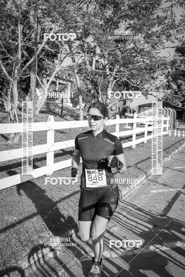 Buy your photos of the eventWolf Series - Botucatu on Fotop