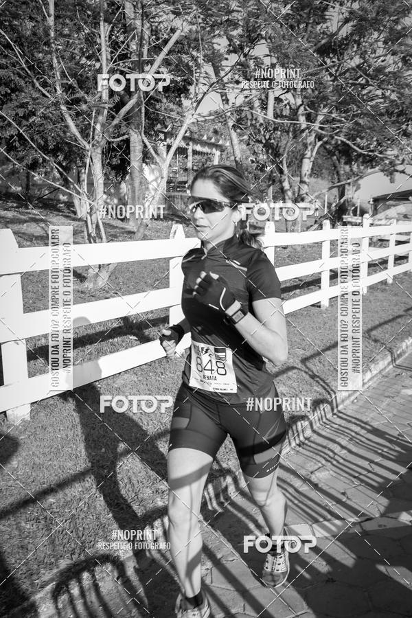 Buy your photos of the eventWolf Series - Botucatu on Fotop