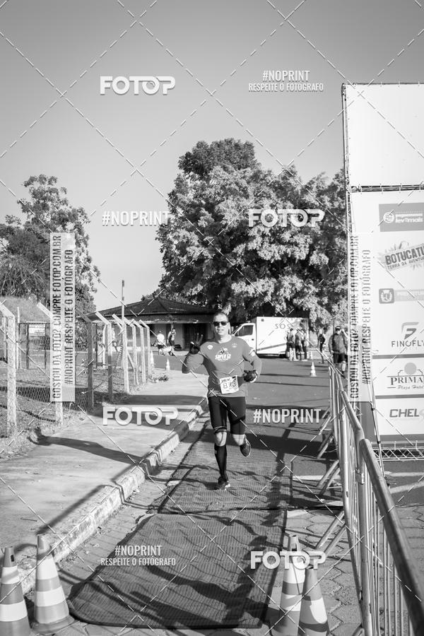 Buy your photos of the eventWolf Series - Botucatu on Fotop