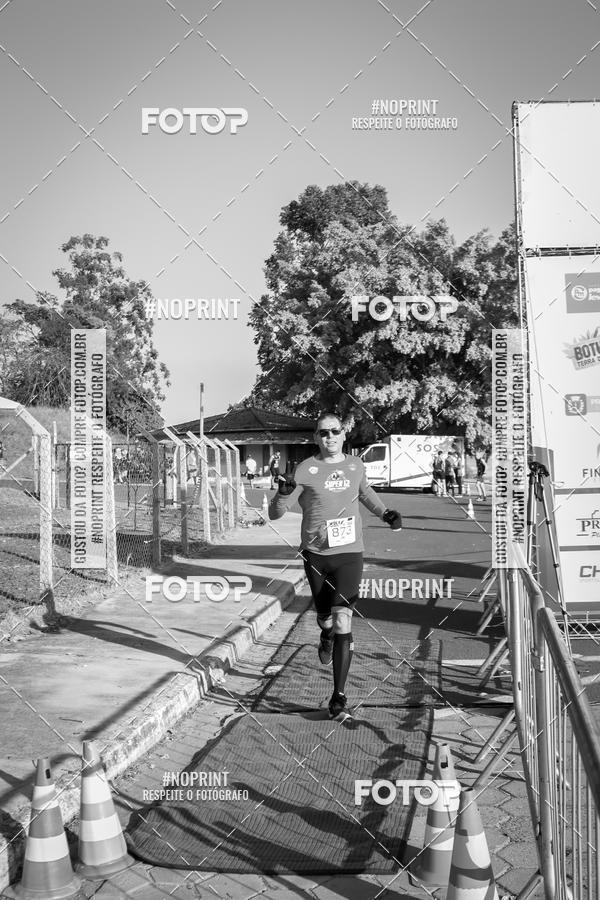 Buy your photos of the eventWolf Series - Botucatu on Fotop