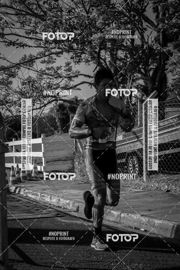 Buy your photos of the eventWolf Series - Botucatu on Fotop