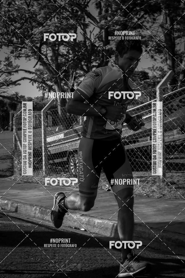 Buy your photos of the eventWolf Series - Botucatu on Fotop