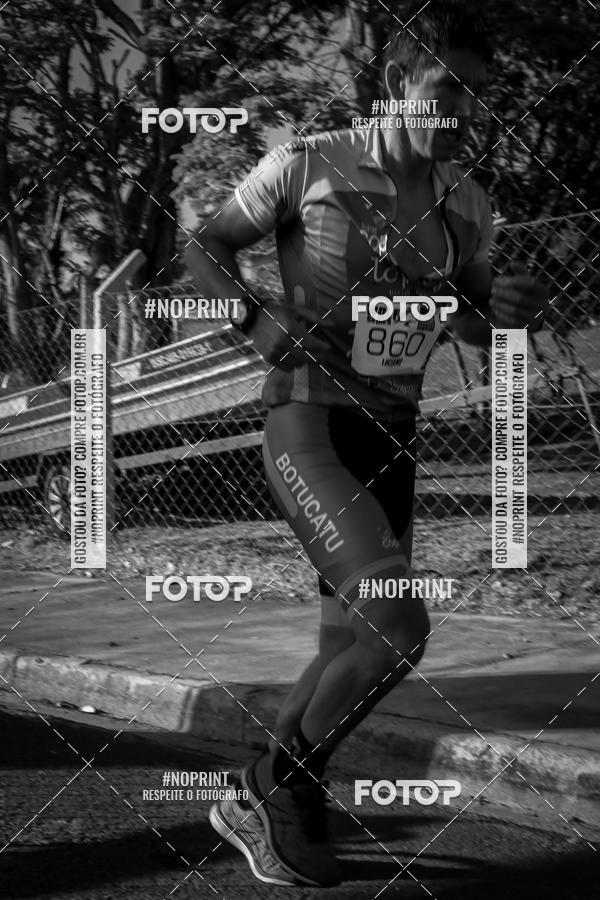 Buy your photos of the eventWolf Series - Botucatu on Fotop