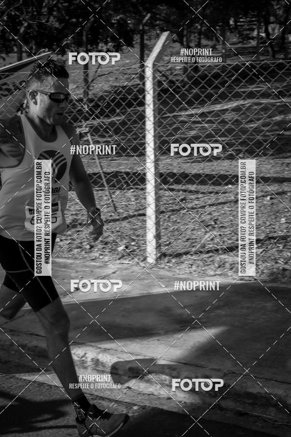 Buy your photos of the eventWolf Series - Botucatu on Fotop