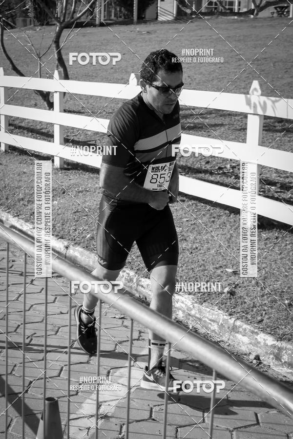 Buy your photos of the eventWolf Series - Botucatu on Fotop