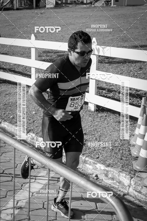 Buy your photos of the eventWolf Series - Botucatu on Fotop