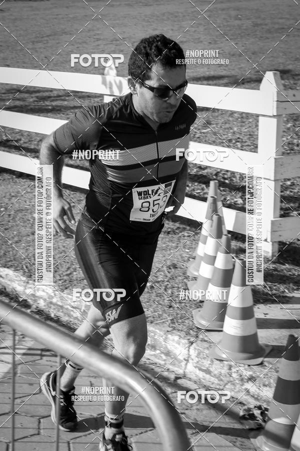 Buy your photos of the eventWolf Series - Botucatu on Fotop