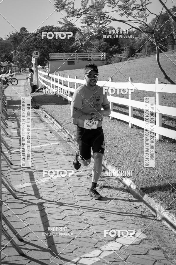 Buy your photos of the eventWolf Series - Botucatu on Fotop