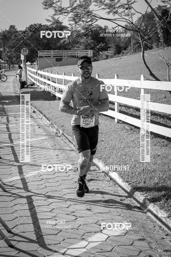 Buy your photos of the eventWolf Series - Botucatu on Fotop