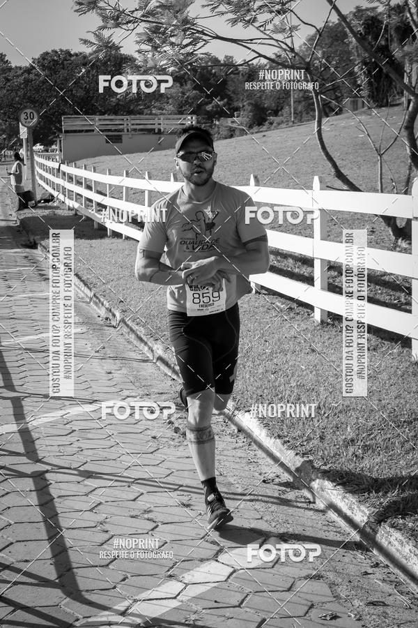 Buy your photos of the eventWolf Series - Botucatu on Fotop