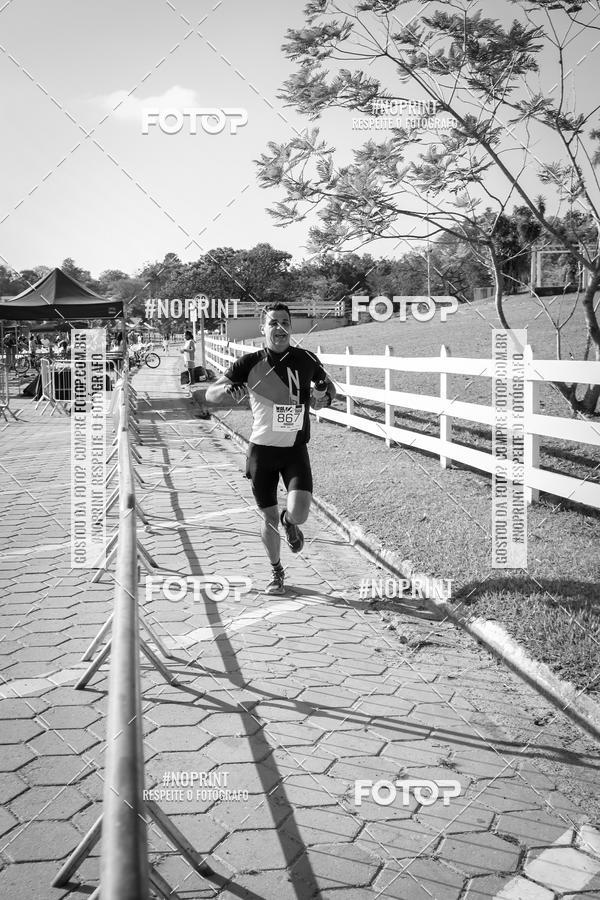 Buy your photos of the eventWolf Series - Botucatu on Fotop